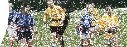 SSNheader
